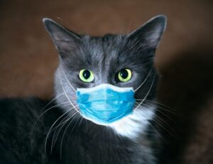 comfort tips mipimprov