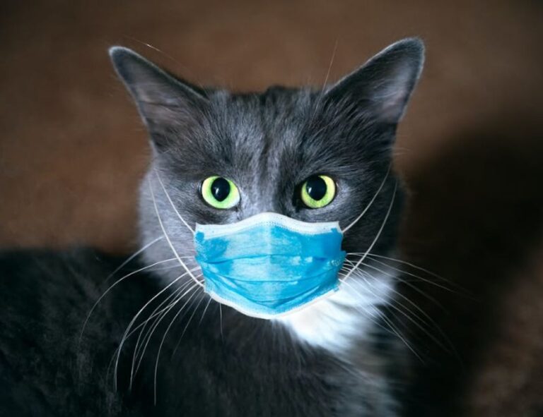 comfort tips mipimprov