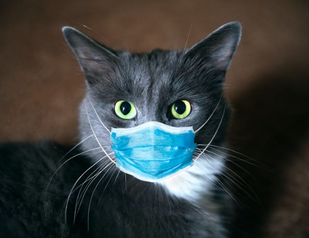 comfort tips mipimprov