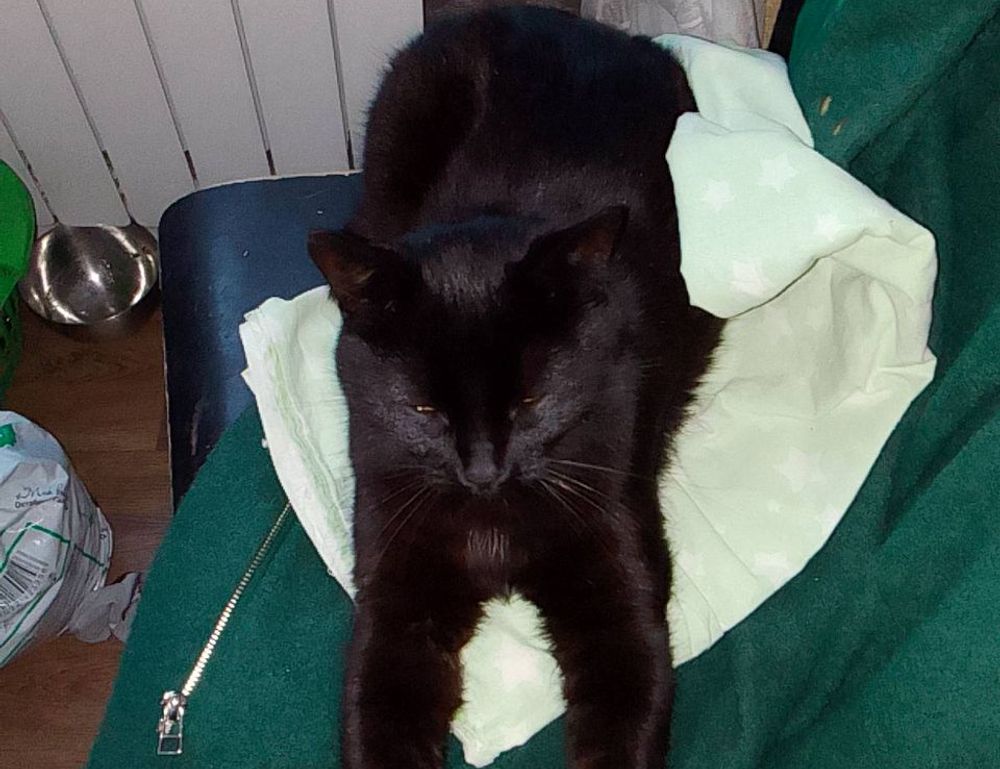 drhandybility handy tips by drhomey