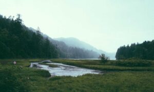 garden decoration kdalandscapetion