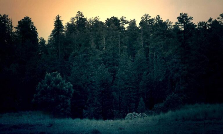 home guide drhandybility