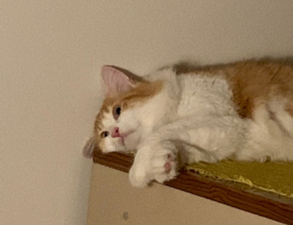 home improvement tips mipimprov