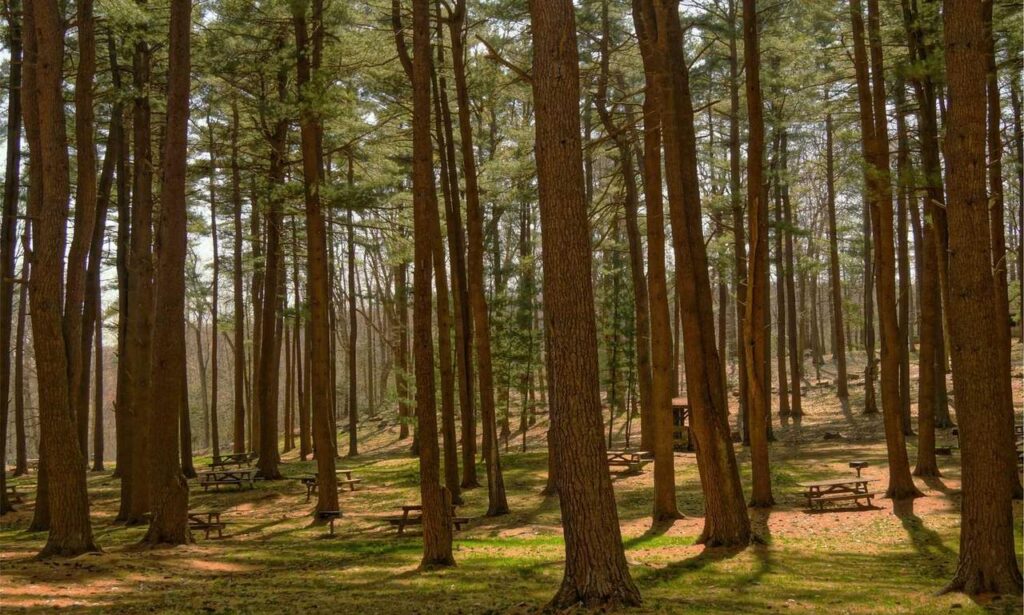 house advice drhandybility