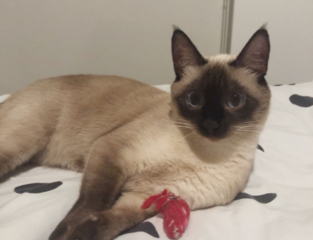 how to decorate a garden bench kdalandscapetion