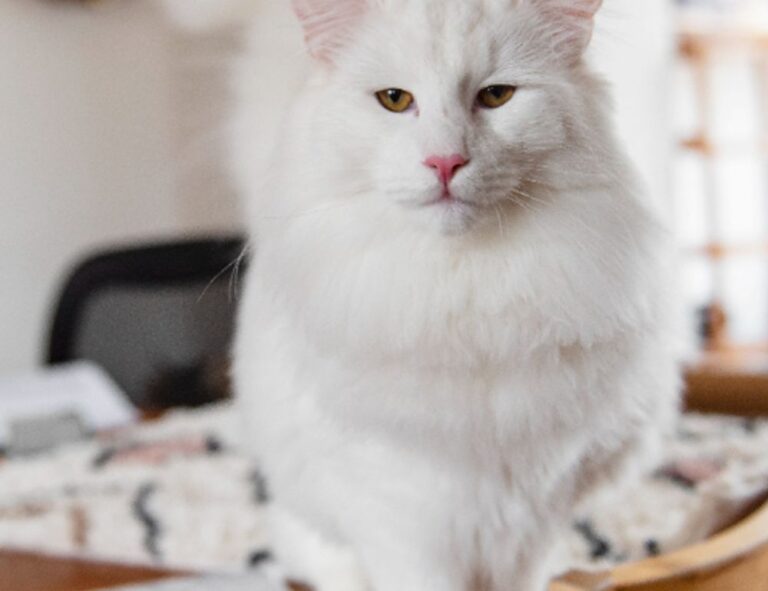 how to fix freezes in the innerlifthunt game