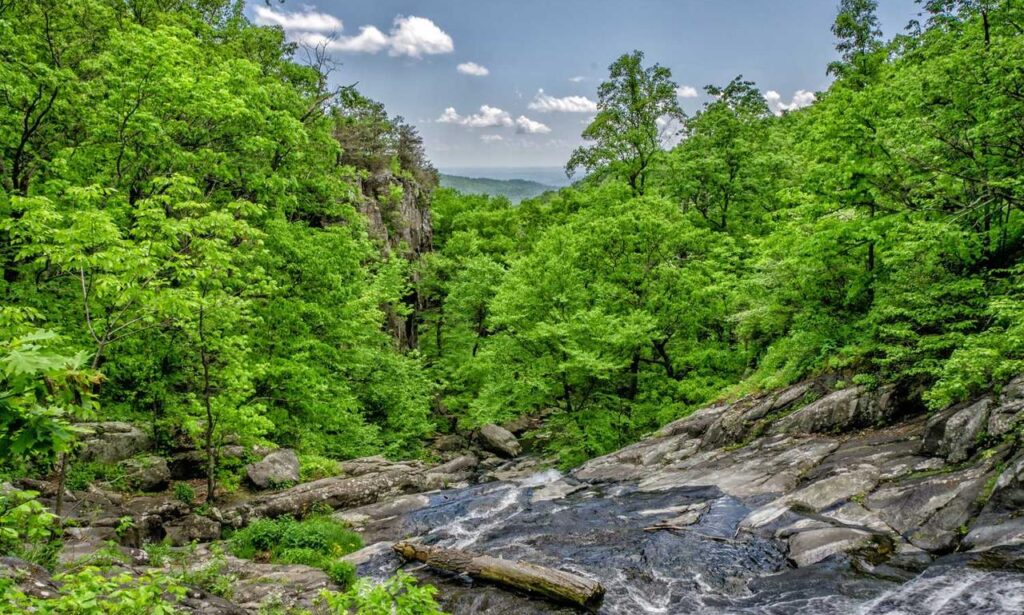 how to set up my garden homemendous