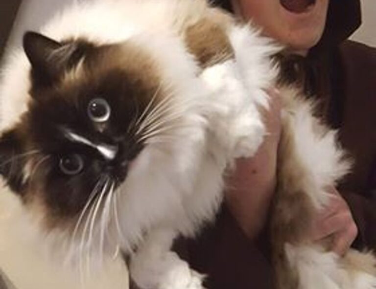 kdalandscapetion landscape guide by kdarchitects