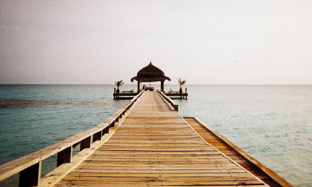 landscaping guide kdalandscapetion