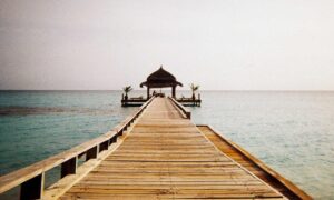 landscaping guide kdalandscapetion