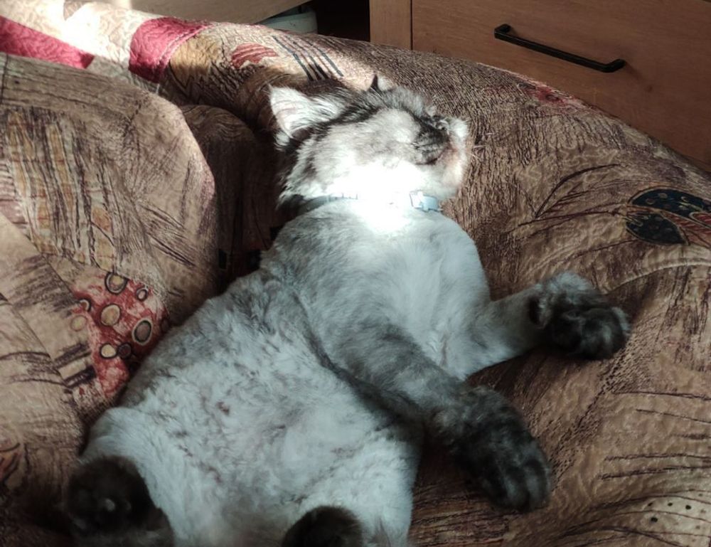 landscaping kdalandscapetion