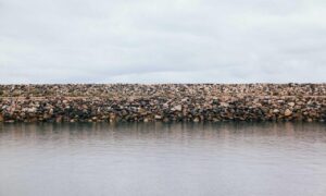 living room decoration mipimprov