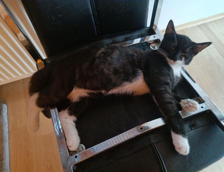 ultimate house guide drhandybility