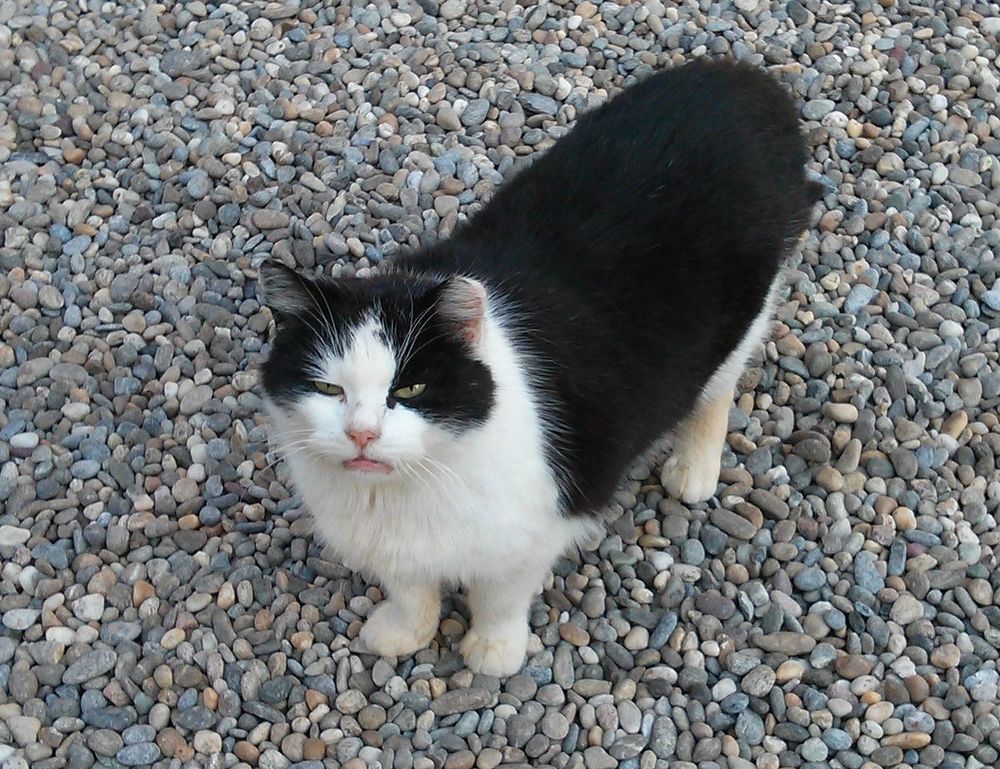 why home improvement is important mintpalhouse