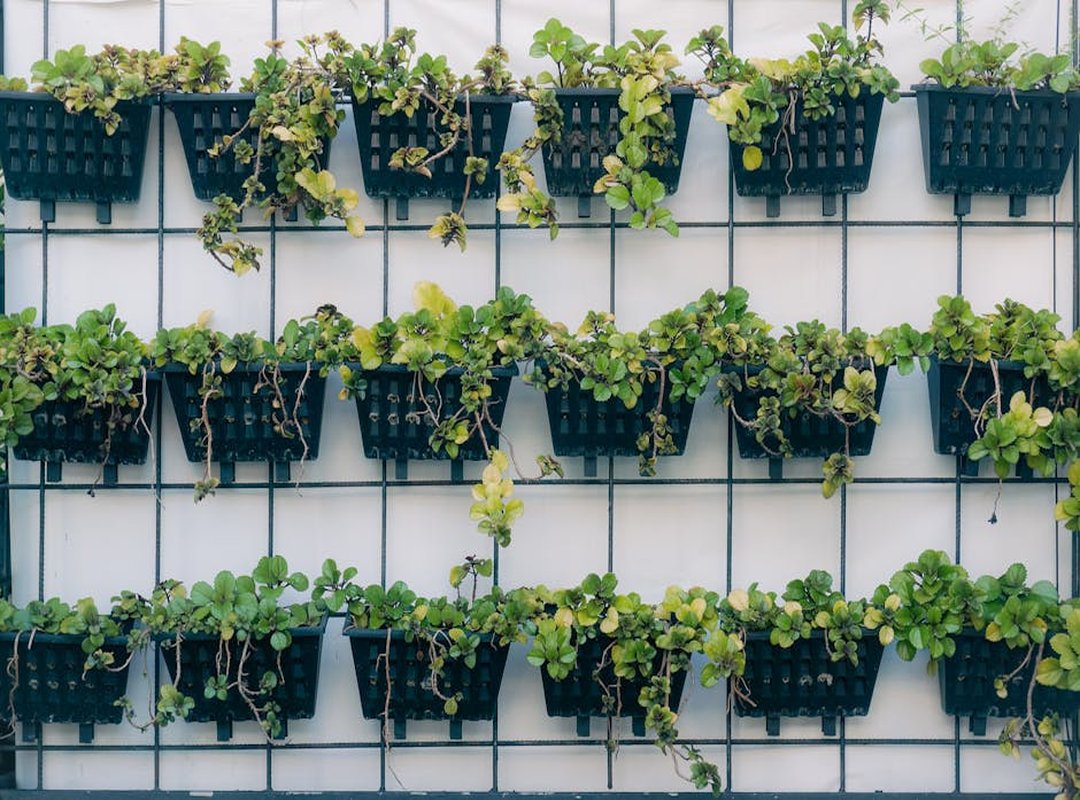 Designing Gardens Kdagardenation