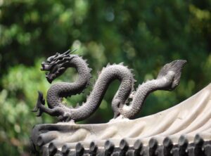 dragon translation.net