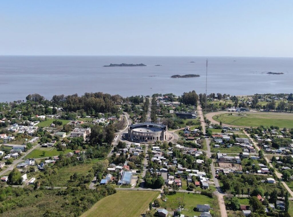 memes de enero sin plata