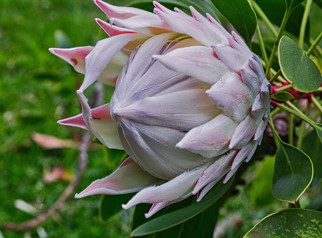 Gardening and Landscaping Tips