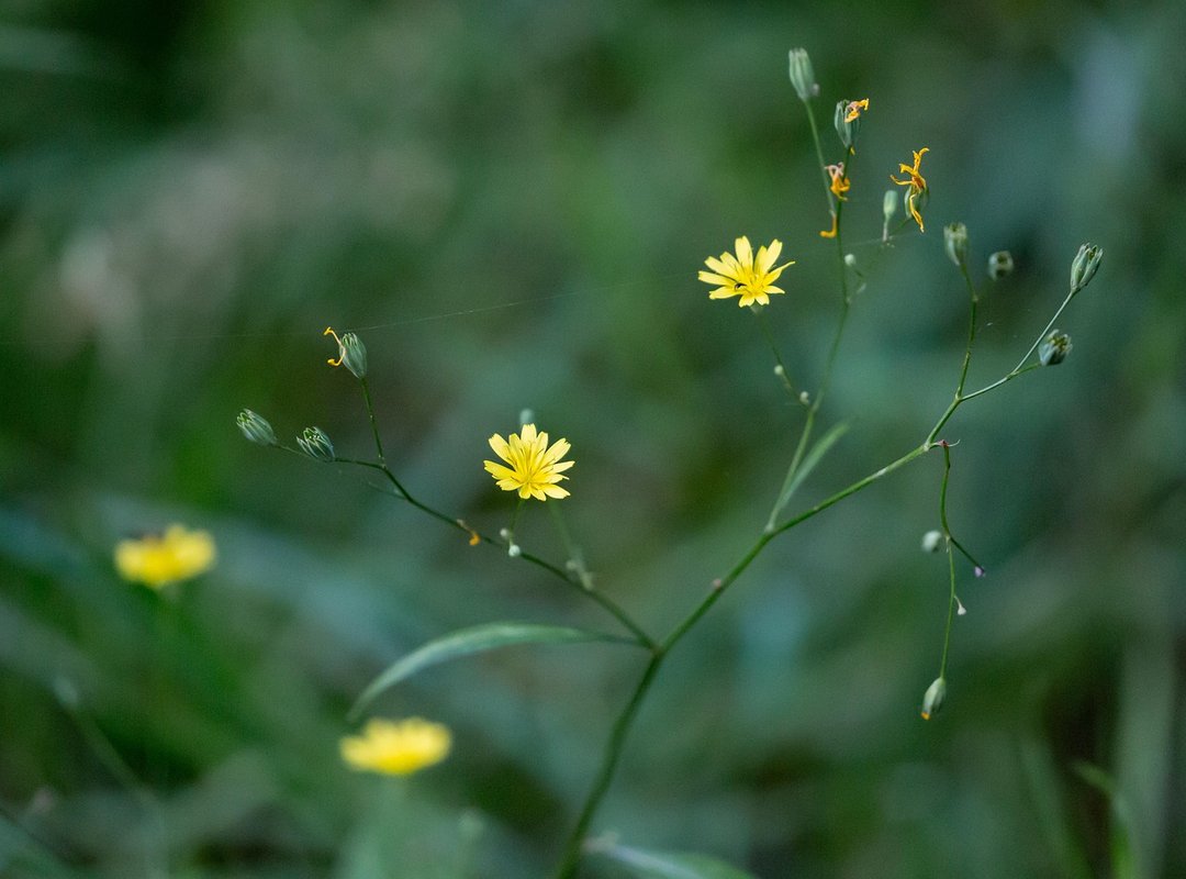 Why Home Insurance Is Important Mrshomegen