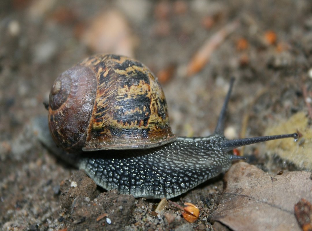 Essential Tools and Pro Tips to Get Started