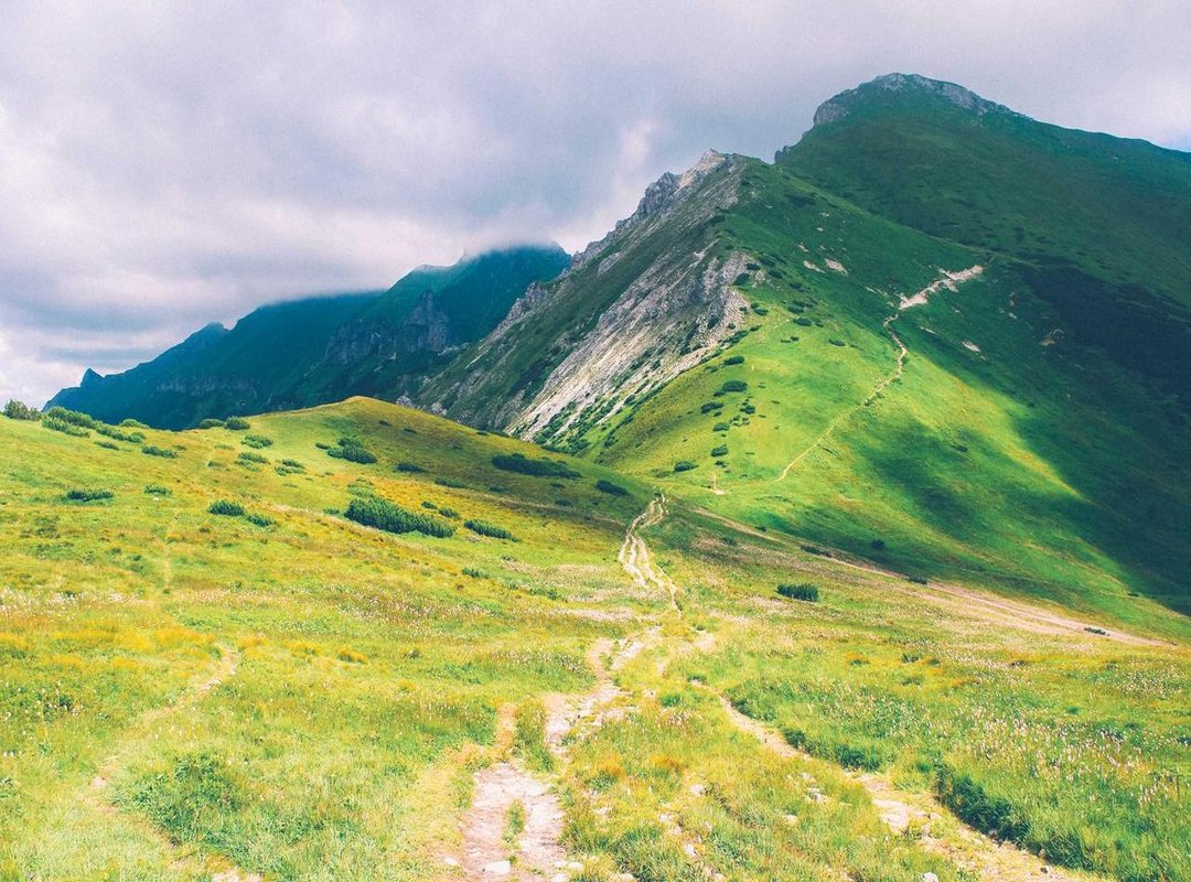 Sunshine on a Plate: Unforgettable Yellow Desserts