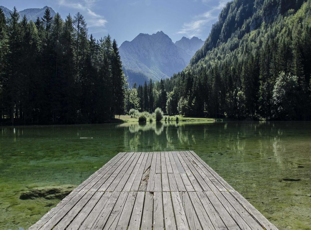 Frequently Asked Questions (FAQs) About the Meme