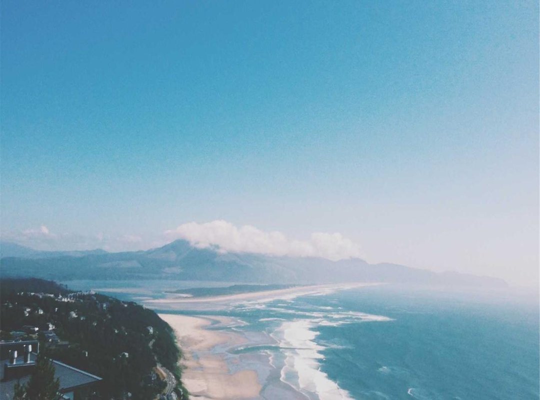 The Fuel Plan: How Diet Uncerscores Abdominal Definition